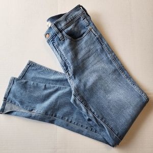 Madewell 10" Roadtripper size 28